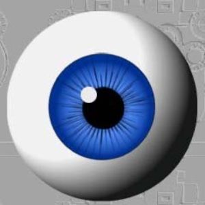 Meet your Posher, Rob